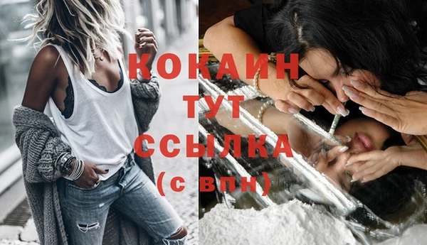 ГАЛЛЮЦИНОГЕННЫЕ ГРИБЫ Липки