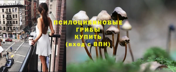 mdpv Балахна