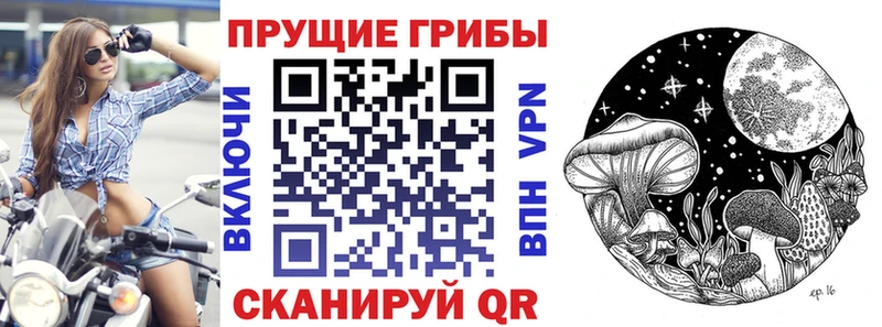 blacksprut ссылка Каспийск Галлюциногенные грибы GOLDEN TEACHER